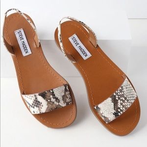 Steve Madden Snake Sandals